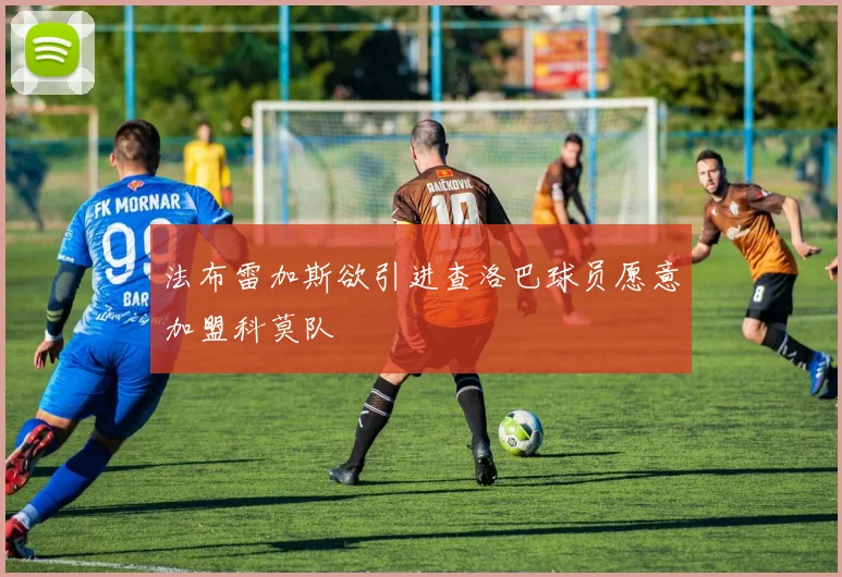 法布雷加斯欲引进查洛巴球员愿意加盟科莫队