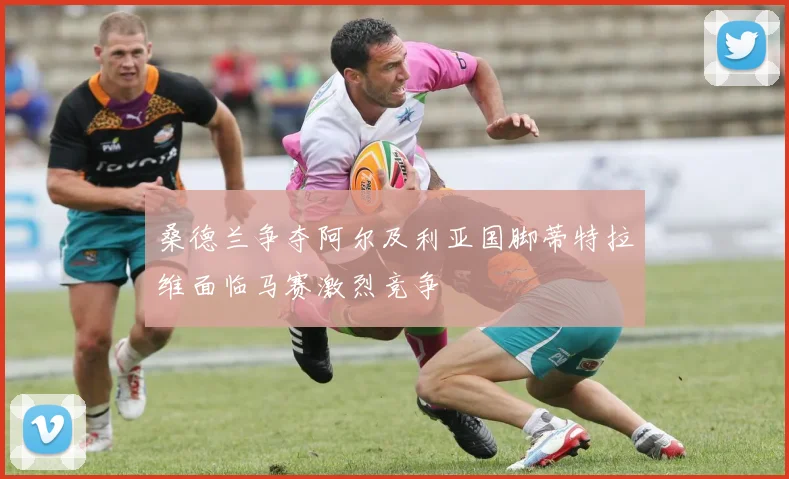 桑德兰争夺阿尔及利亚国脚蒂特拉维面临马赛激烈竞争